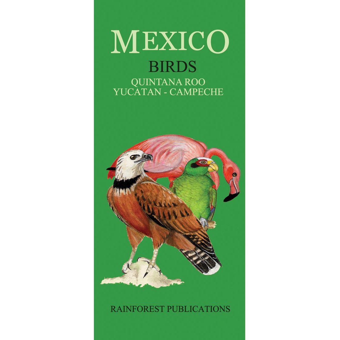 Guía de campo - Aves de Quintana Roo, Yucatán & Campeche