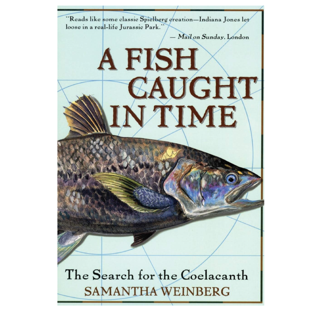 A fish caught in time