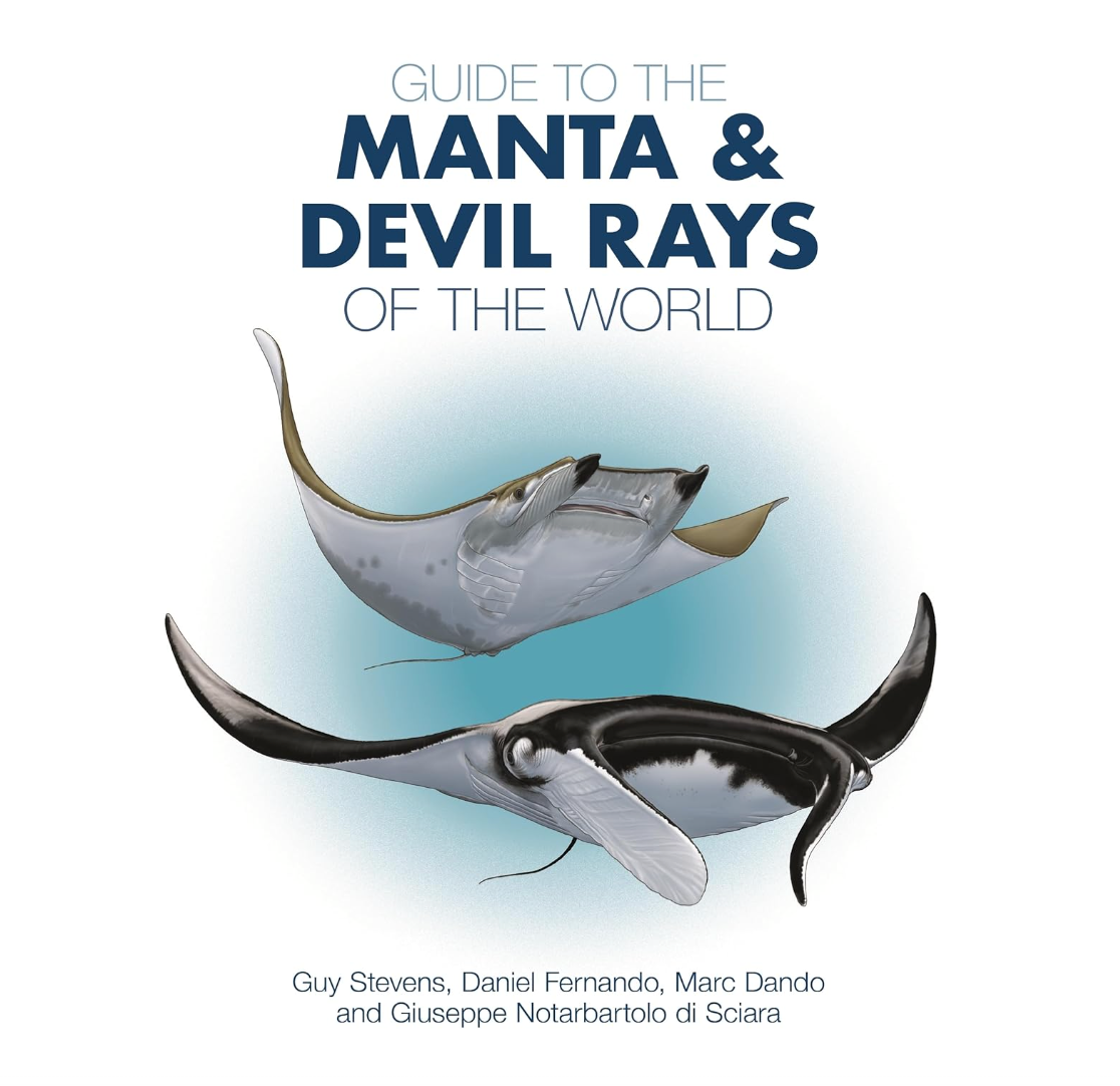 Guide to the manta & devil rays of the world