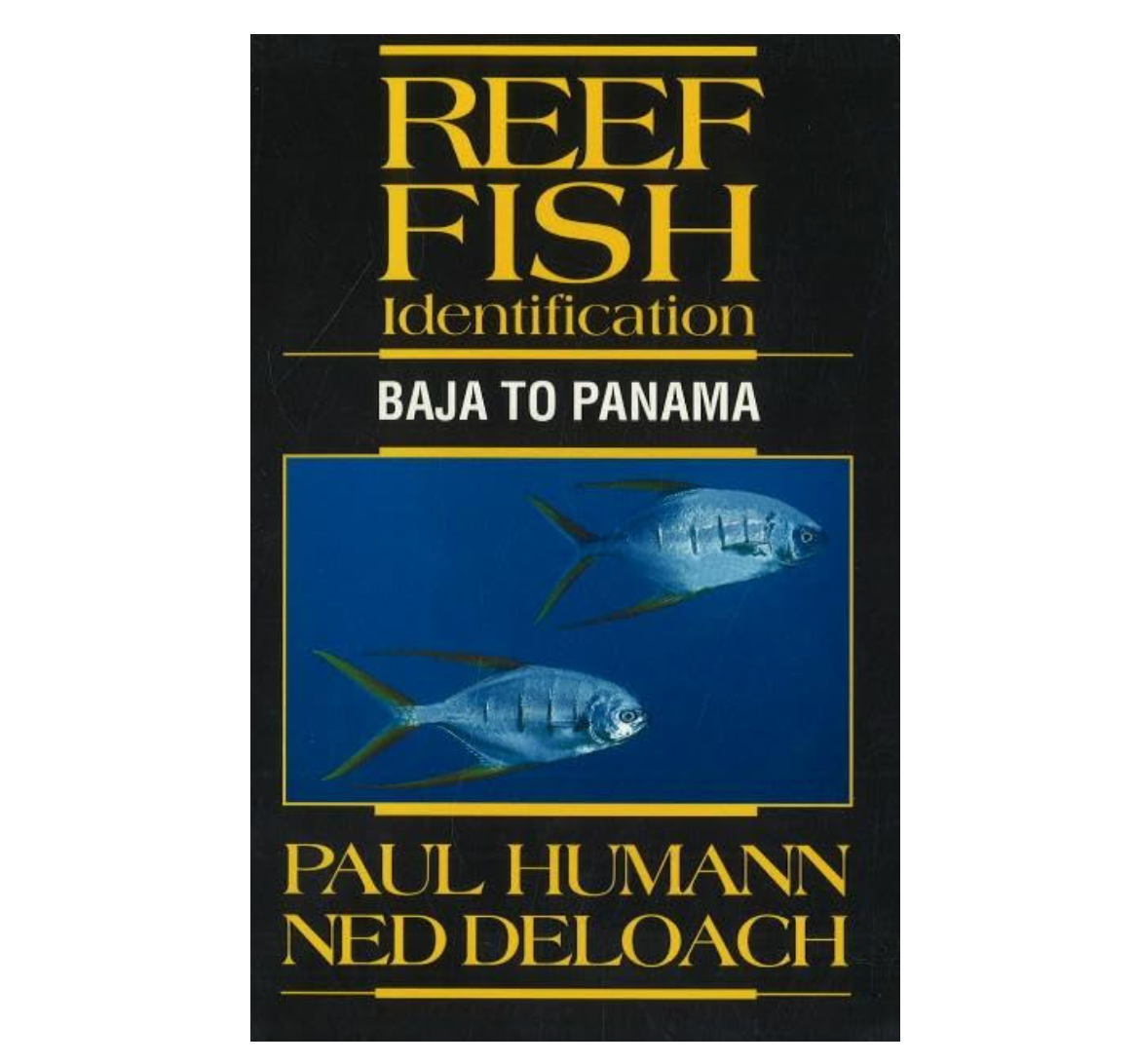 Reef fish - Baja to Panama