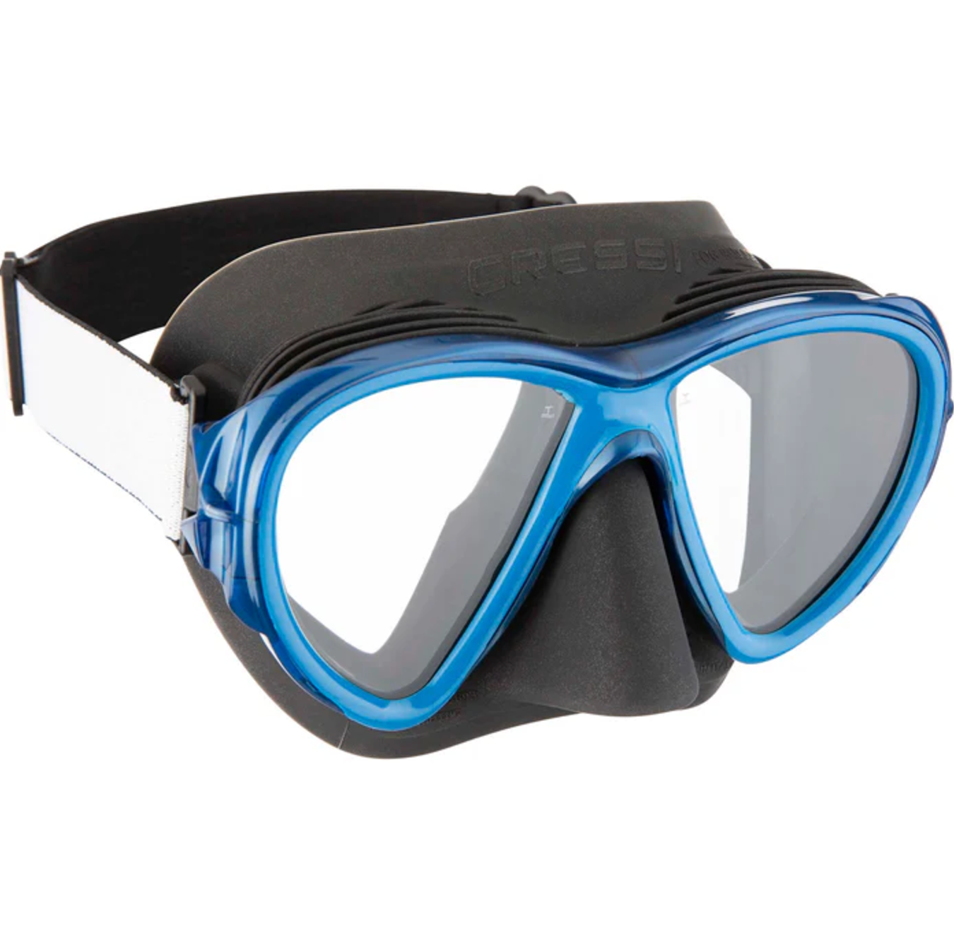 Visor Fiji