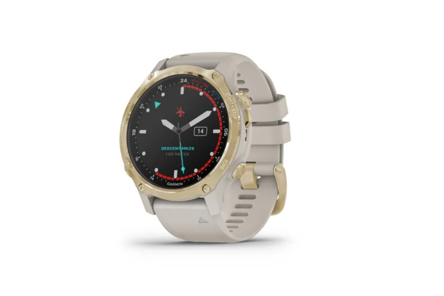 GARMIN DESCENT™ Mk2 S | Arena con Dorado