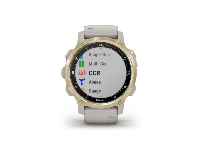 GARMIN DESCENT™ Mk2 S | Arena con Dorado