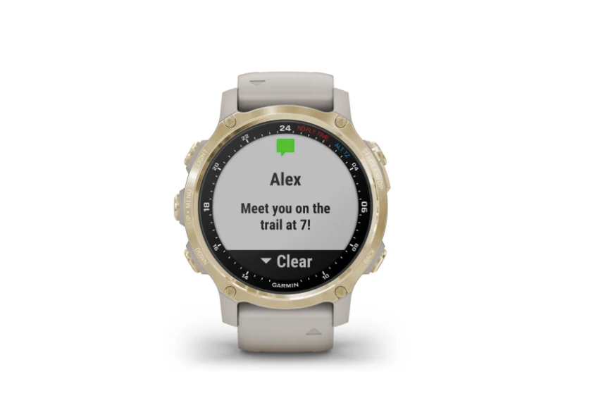 GARMIN DESCENT™ Mk2 S | Arena con Dorado
