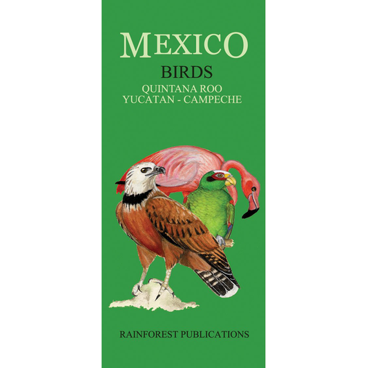 Guía de campo - Aves de Quintana Roo, Yucatán & Campeche