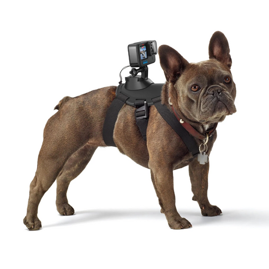 Arnés Fetch de GoPro para mascota