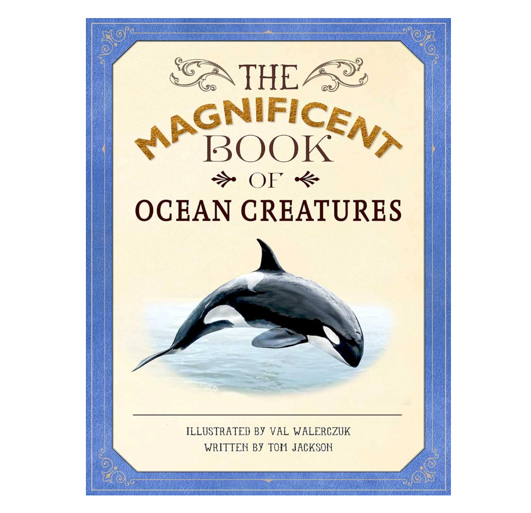 The Magnificent Book of Ocean Creatures
